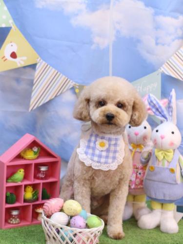 20240321モナカくん